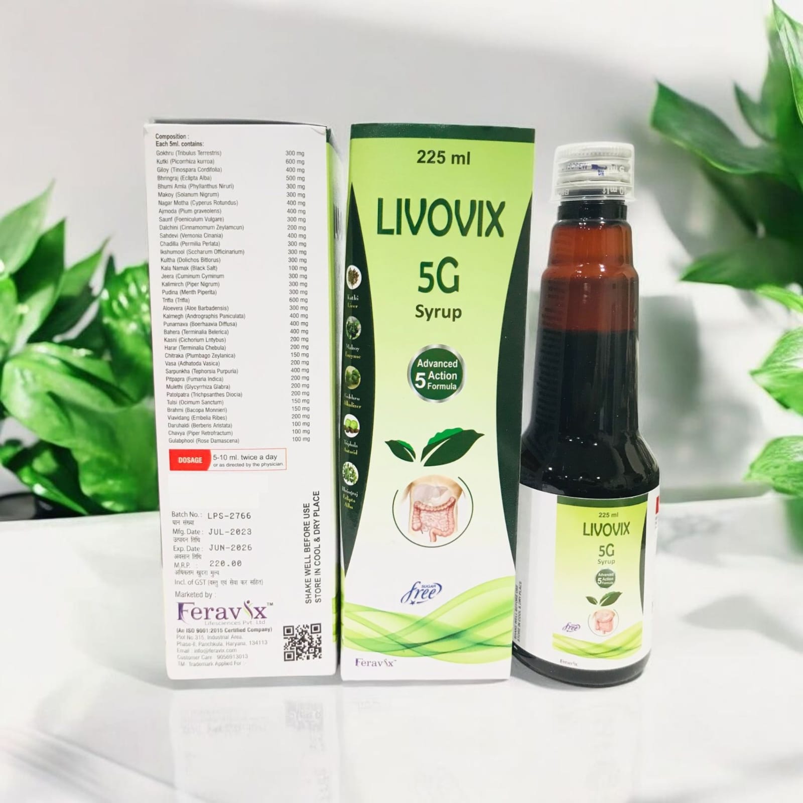 Livovix 5G Syrup LIVER DS + ANTA ACID